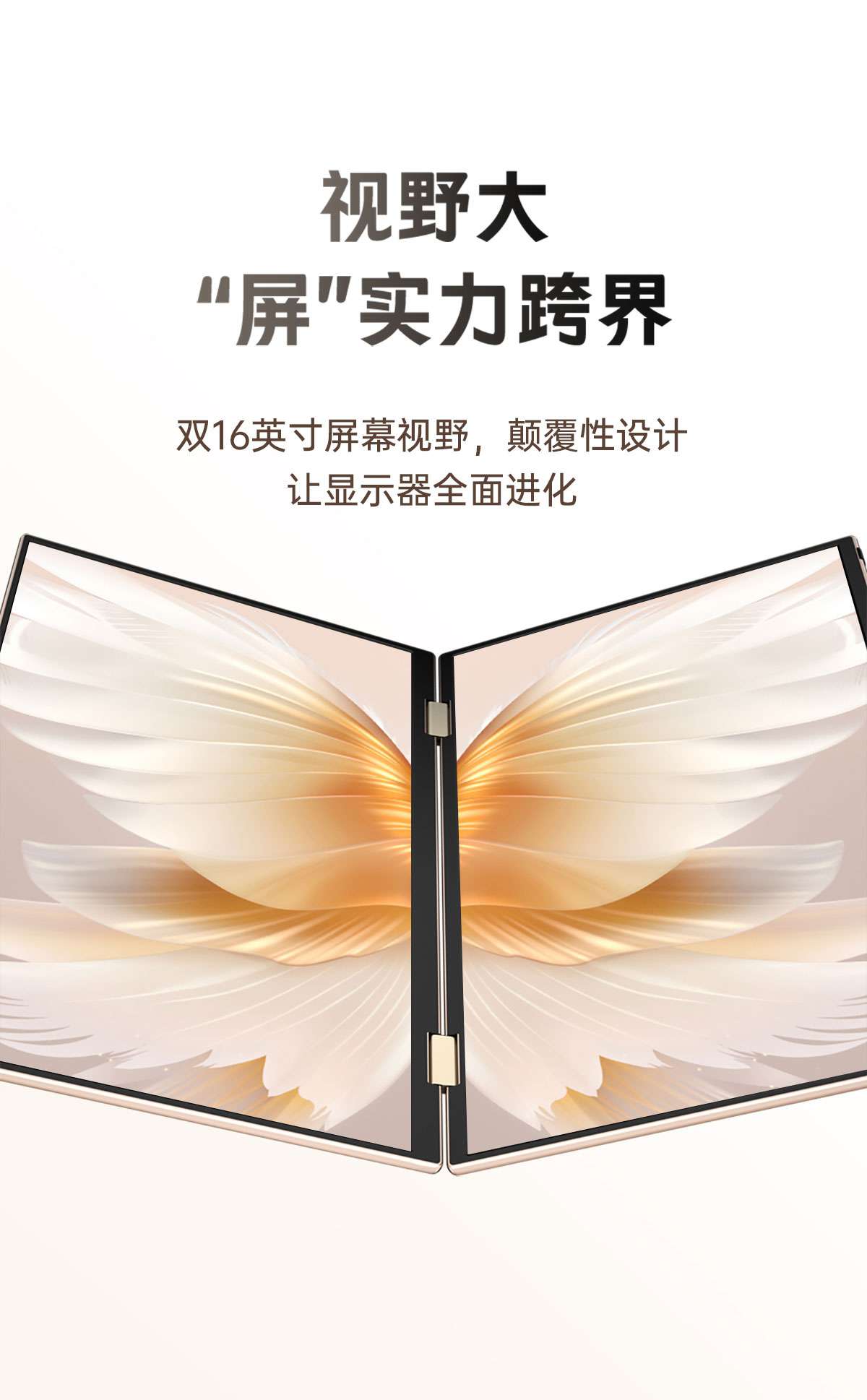 16英寸双屏显示器(图5)