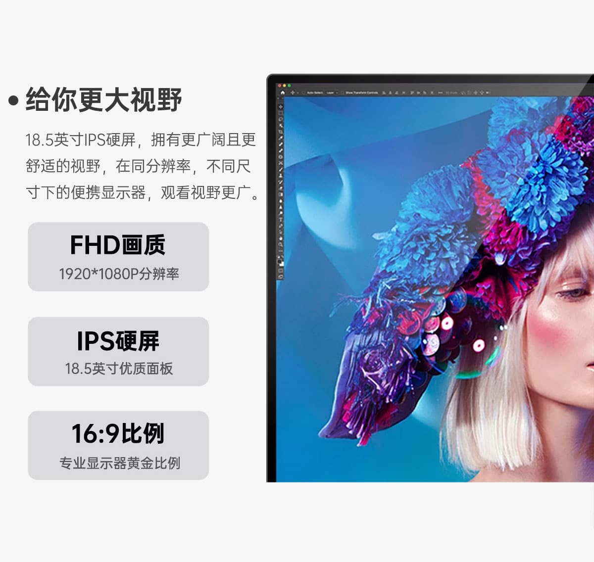 18.5英寸便携显示器(图3)